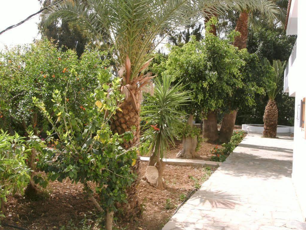Ifigenia Apartments Hersonissos  Bagian luar foto